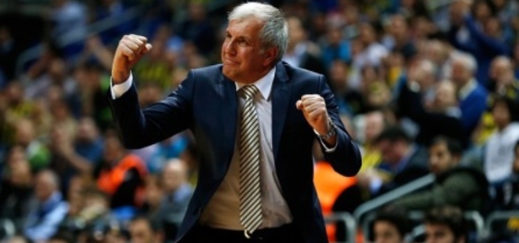 zoc obradovic